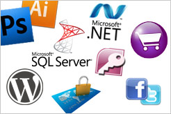 Services